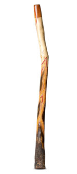 Heartland Didgeridoo (HD466)